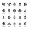 Autumn leaves flat glyph icons. Leaf types, rowan, birch tree, maple, chestnut, oak, cedar pine, linden, guelder rose Royalty Free Stock Photo