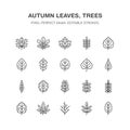 Autumn leaves flat line icons. Leaf types, rowan, birch tree, maple, chestnut, oak, cedar pine, linden,guelder rose Royalty Free Stock Photo