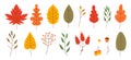 Autumn leaves flat style. dry mapple and berries vector illustration. fall icon set Royalty Free Stock Photo