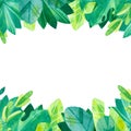 Empty square frame with jungle leaves hand drawn illustration. Royalty Free Stock Photo