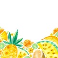 Empty frame with tropical fruits hand drawn illustration