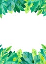 Empty vertical frame with jungle leaves hand drawn illustration. Tropical exotic leaves border watercolor drawing.