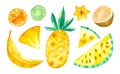 Tropical fruits mix watercolor illustrations set. Royalty Free Stock Photo