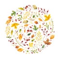 Autumn leaves flat vector decorative square frame. Vintage yellow foliage with red guelder berries. Fall season floral border with