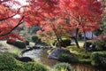 Autumn leaves in Flatly Landscaped Garden in Koko-en Garden, Himeji, Japan