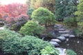 Autumn leaves in Flatly Landscaped Garden in Koko-en Garden, Himeji, Japan