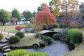 Autumn leaves in Flatly Landscaped Garden in Koko-en Garden, Himeji, Japan