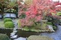 Autumn leaves in Flatly Landscaped Garden in Koko-en Garden, Himeji, Japan