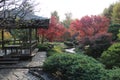 Autumn leaves in Flatly Landscaped Garden in Koko-en Garden, Himeji, Japan