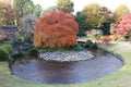 Autumn leaves in Flatly Landscaped Garden in Koko-en Garden, Himeji, Japan