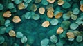 Autumn leaves floating on turquoise water surface Royalty Free Stock Photo