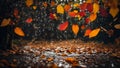 Autumn leaves on the floor, rain dripping day reflection environment weather season