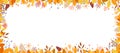 Autumn leaves and flower border on white background,Fall season banner with cute colourful wild flowers and leaves frame,Vector Royalty Free Stock Photo