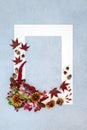 Autumn Leaves and Flowers Background Border Design Royalty Free Stock Photo