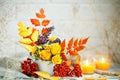 Autumn leaves and flowers on a wooden table. Autumn background with copy space. Autumn still life.