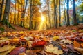 Autumn Leaves in the Forest Royalty Free Stock Photo
