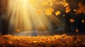 Autumn leaves in the forest illuminated by the soft glow of sunrise, with sun rays creating a mesmerizing bokeh background Royalty Free Stock Photo