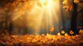 Autumn leaves in the forest illuminated by the soft glow of sunrise, with sun rays creating a mesmerizing bokeh background Royalty Free Stock Photo