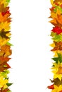 Autumn leaves frame Royalty Free Stock Photo