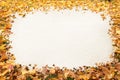 Autumn leaves frame Royalty Free Stock Photo