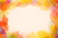 Autumn leaves frame Royalty Free Stock Photo