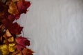 Autumn leaves frame on paper background Royalty Free Stock Photo