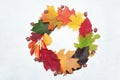 Autumn leaves frame wreath. Fall elements with place for your text on white background. Decor for Thanksgiving day