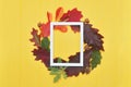 Autumn leaves frame wreath and white wooden frame with place for your text on yellow background. Mockup decor for Royalty Free Stock Photo