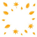 Autumn leaves frame. Yellow orange flying leaf set. Oak, maple, birch, rowan. Wind moving objects. Template for decoration. White Royalty Free Stock Photo