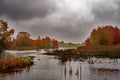 Autumn leaves frames the bird refuge in Presque Isle