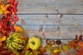 Autumn leaves,fruits and vegetables