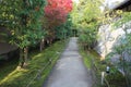 Autumn leaves in the Garden of Seedlings in Koko-en Garden, Himeji, Japan