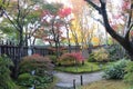 Autumn leaves in the Garden of Summer in Koko-en Garden, Himeji, Japan