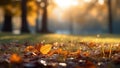 Autumn Leaves on Grass in Park with Lens Flare AI Generated