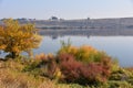 Autumn Leaves and Grasses spice up Dun Desert Backdrop along Columbia River Royalty Free Stock Photo