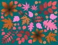 Autumn leaves on a green background. Tree leave. Pink, red and brown leaves.