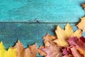 Autumn leaves on green blue vintage wooden background with copy space, flat lay Royalty Free Stock Photo