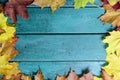 Autumn leaves on green blue vintage wooden background with copy space, flat lay Royalty Free Stock Photo