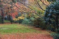 Autumn leaves with green yellow orange and red color in garden. Royalty Free Stock Photo