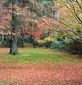 Autumn leaves with green yellow orange and red color in garden. Royalty Free Stock Photo