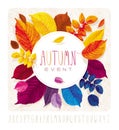 Autumn leaves grunge circle