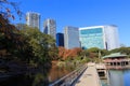 Autumn leaves in Hamarikyu Gardens, Tokyo Royalty Free Stock Photo