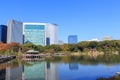 Autumn leaves in Hamarikyu Gardens, Tokyo Royalty Free Stock Photo