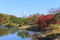 Autumn leaves in Hamarikyu Gardens, Tokyo Royalty Free Stock Photo