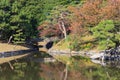 Autumn leaves in Hamarikyu Gardens, Tokyo Royalty Free Stock Photo