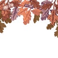 Oak leaves and acorns frame