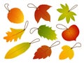 Autumn Leaves Hang Tags