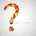 Autumn illustration, question symbol Royalty Free Stock Photo