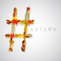Autumn symbol Royalty Free Stock Photo
