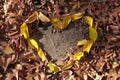 Autumn leaves in heart shape in natural yellow red orange color on ground.